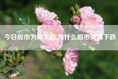今日股市为何大跌,为什么股市突然下跌