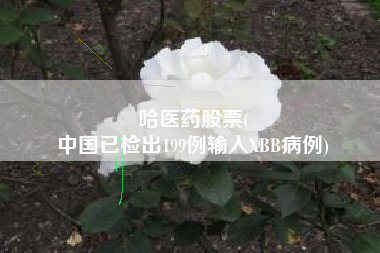 哈医药股票(
中国已检出199例输入XBB病例)