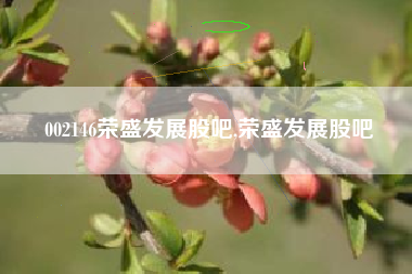 002146荣盛发展股吧,荣盛发展股吧
