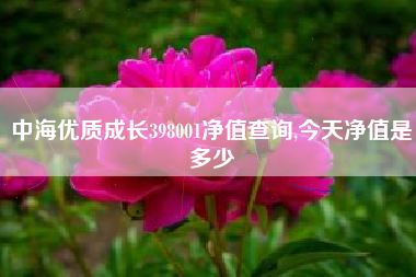 中海优质成长398001净值查询,今天净值是多少