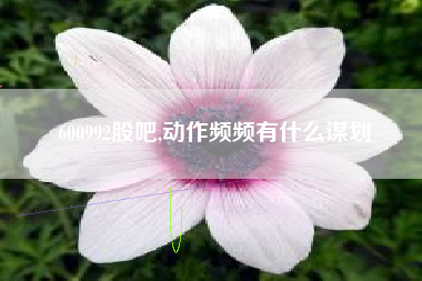 600992股吧,动作频频有什么谋划