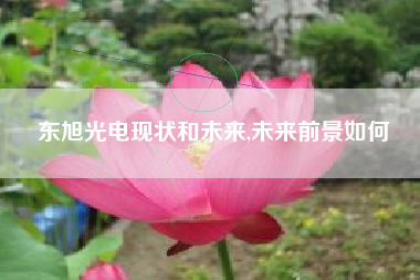 东旭光电现状和未来,未来前景如何