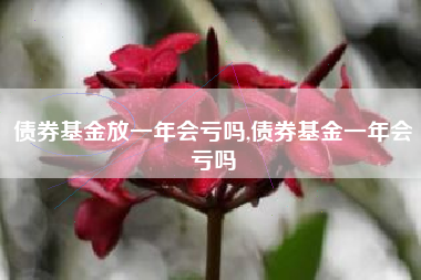 债券基金放一年会亏吗,债券基金一年会亏吗