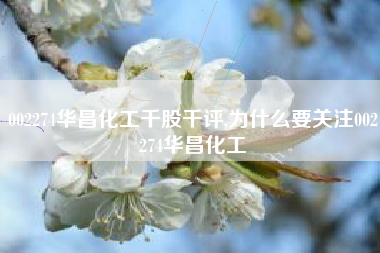 002274华昌化工千股千评,为什么要关注002274华昌化工