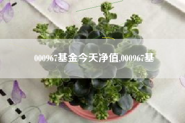 000967基金今天净值,000967基