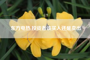东方电热,投资者该买入还是卖出