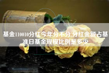 基金110010分红今年分不分,分红金额占基准日基金规模比例是多少