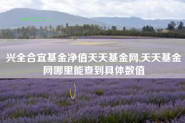 兴全合宜基金净值天天基金网,天天基金网哪里能查到具体数值