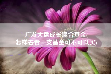 广发大盘成长混合基金(
怎样去看一支基金可不可以买) 广发大盘成长混合基金(
怎样去看一支基金可不可以买)