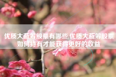 优质大蓝筹股票有哪些,优质大蓝筹股票如何持有才能获得更好的收益