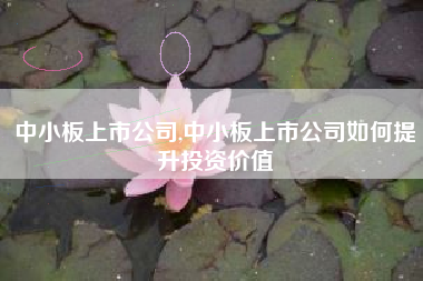 中小板上市公司,中小板上市公司如何提升投资价值