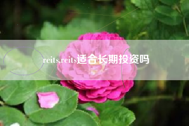 reits,reits适合长期投资吗
