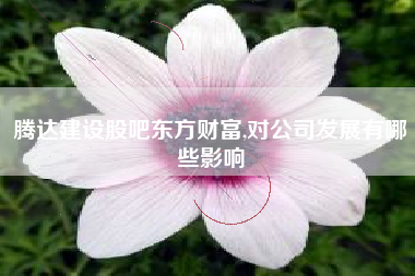 腾达建设股吧东方财富,对公司发展有哪些影响