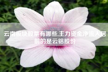 云南板块股票有哪些,主力资金净流入居前的是云铝股份