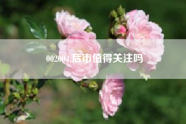 002004,后市值得关注吗