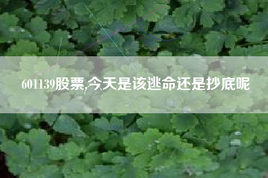 601139股票,今天是该逃命还是抄底呢