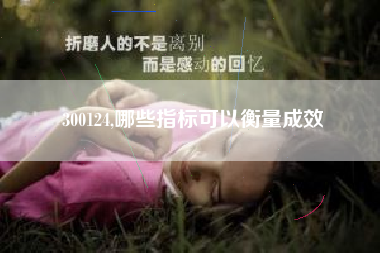 300124,哪些指标可以衡量成效