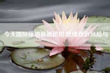 今天国际原油最新价格,地缘政治风险与