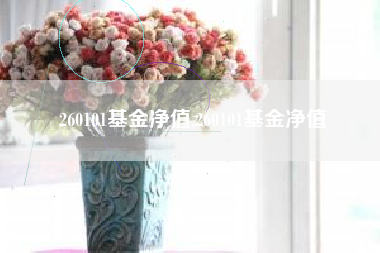 260101基金净值,260101基金净值