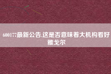 600177最新公告,这是否意味着大机构看好雅戈尔