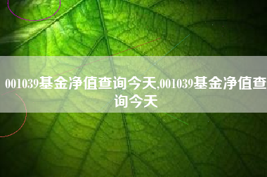 001039基金净值查询今天,001039基金净值查询今天