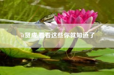 st贤成,看看这些你就知道了