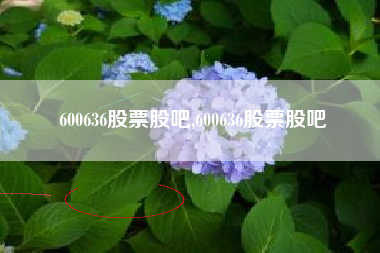 600636股票股吧,600636股票股吧
