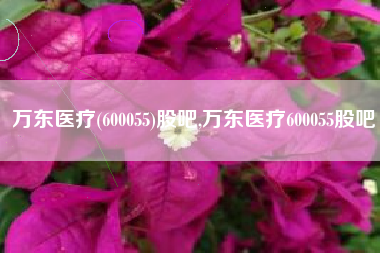 万东医疗(600055)股吧,万东医疗600055股吧
