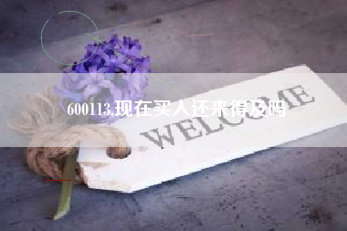 600113,现在买入还来得及吗