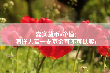 嘉实货币a净值(
怎样去看一支基金可不可以买)