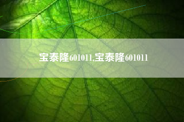 宝泰隆601011,宝泰隆601011