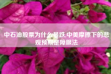 中石油股票为什么暴跌,中美摩擦下的悲观预期是障眼法