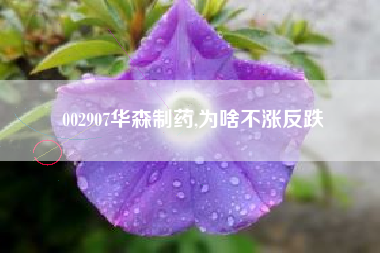 002907华森制药,为啥不涨反跌