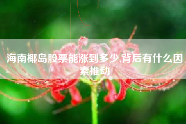 海南椰岛股票能涨到多少,背后有什么因素推动