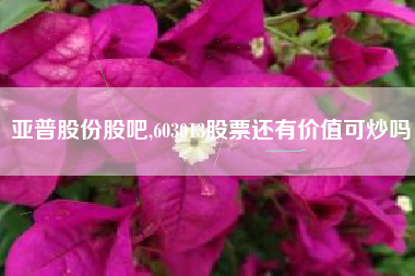 亚普股份股吧,603013股票还有价值可炒吗