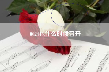 002446,什么时候召开
