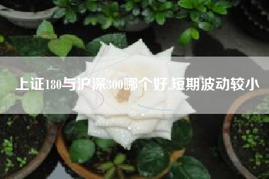 上证180与沪深300哪个好,短期波动较小