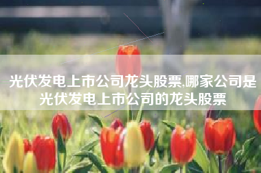 光伏发电上市公司龙头股票,哪家公司是光伏发电上市公司的龙头股票