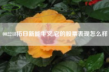 002218拓日新能牛叉,它的股票表现怎么样