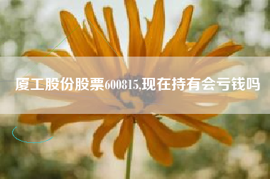 厦工股份股票600815,现在持有会亏钱吗
