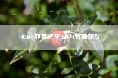 002607亚夏汽车,成为教育龙头