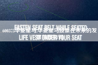 600375华菱星马,华菱星马股票在未来的发展前景如何