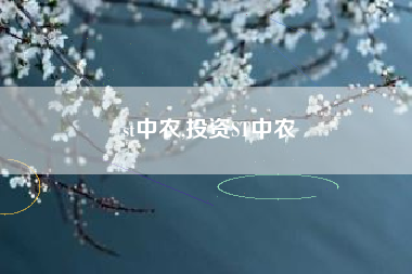 st中农,投资ST中农