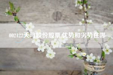002122天马股份股票,优势和劣势在哪