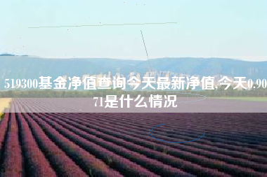 519300基金净值查询今天最新净值,今天0.9071是什么情况