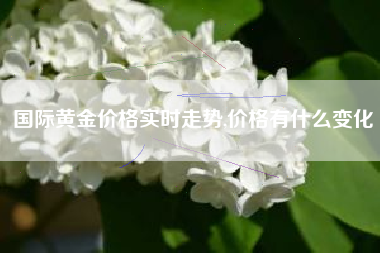 国际黄金价格实时走势,价格有什么变化