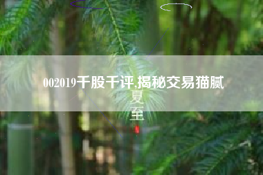 002019千股千评,揭秘交易猫腻