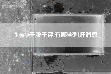 300669千股千评,有哪些利好消息