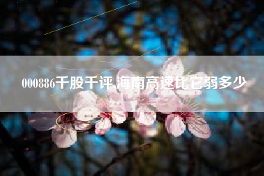000886千股千评,海南高速比它弱多少