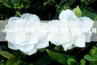 519008历史净值,519008历史净值是如何计算的